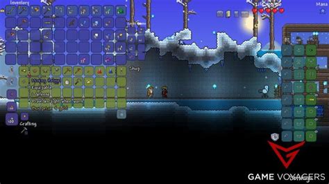 How to Get More Accessory Slots in Terraria - Game Voyagers