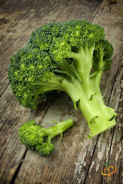 Broccoli Varieties, Types of Broccoli, Varieties of Broccoli