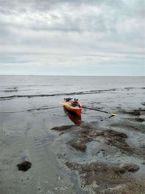 Slaughter Beach to Big Stone Beach (and back) | laura paddles delmarva