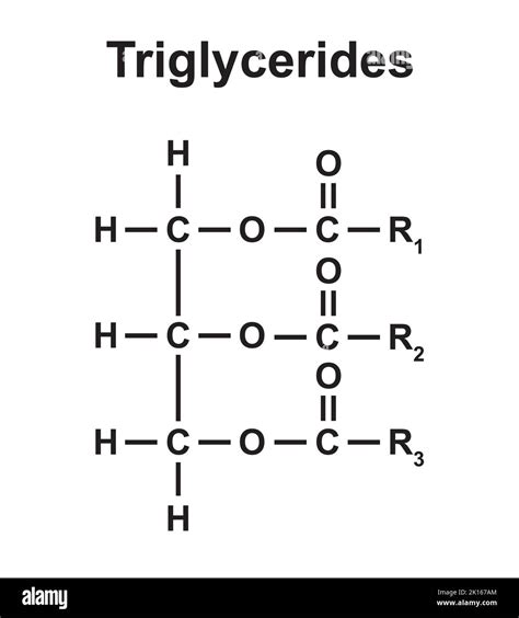 Triglycerides Molecule Structure