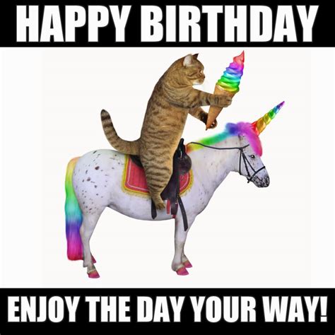 Happy Birthday Meme Cat