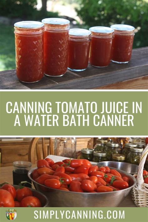 Canning Tomato Juice in a Water Bath - SimplyCanning