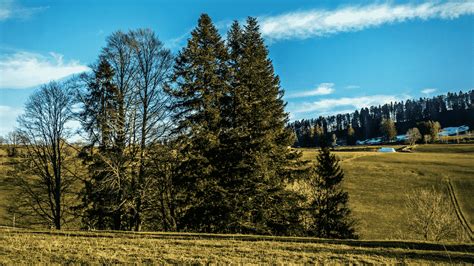 Visiting La Chaux-de-Fonds: A Timeless Experience - SwitzerLanding