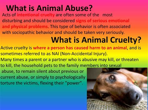 PPT - Animal Abuse PowerPoint Presentation, free download - ID:2127387