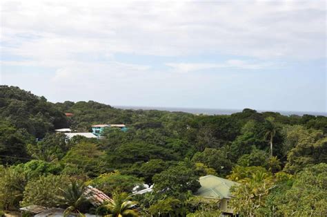 Mayan Jungle Canopy Zipline - Discover Roatan Excursions & Tours