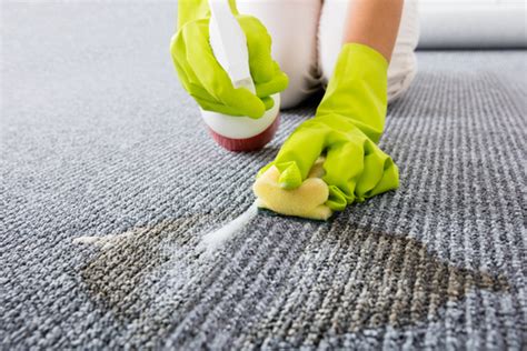 How to Remove Oil Stain from Rug - Singapore Carpet Ceaning