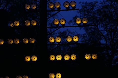 Parliament of Owls by Bruce Munro