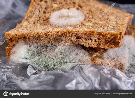 Moldy sandwich with smoked meat in a plastic bag. Dark bread wit Stock Photo by ©piotrek ...