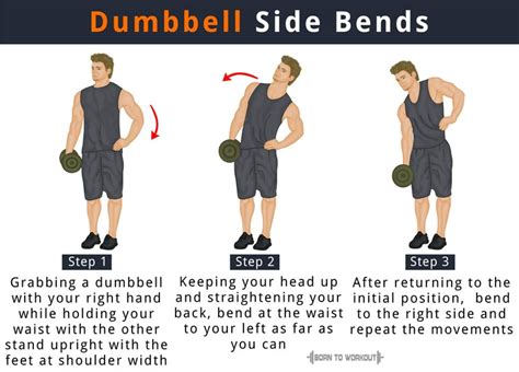 Dumbbell Side Bends Muscles Worked