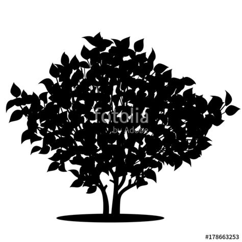 Bush Silhouette Vector at Vectorified.com | Collection of Bush ...