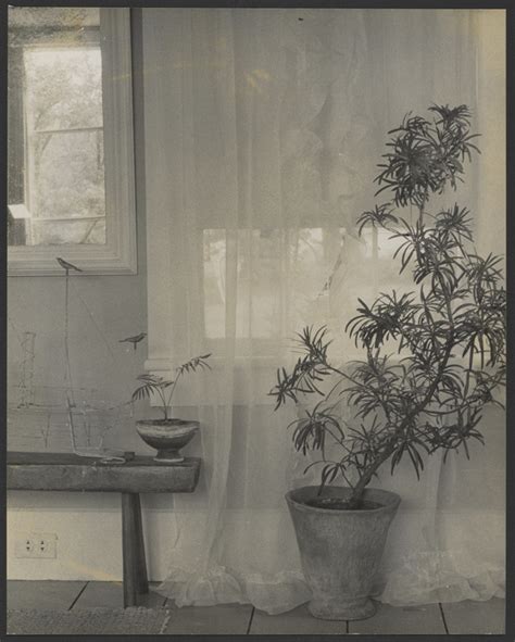 [Still Life with Wire Sculpture] (Getty Museum)