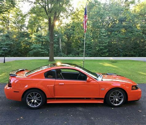 New Edge Mach 1 Ford Mustang | Ford mustang, Mustang, Bmw