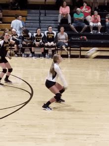 Volleyball GIFs | Tenor