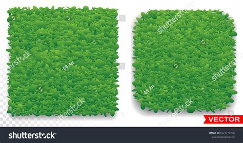 Green Grass Square Texture Background Nature Stock Vector (Royalty Free ...