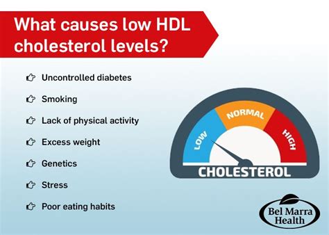 62 best Cholesterol images on Pinterest | Cardiovascular disease, Heart disease and Cholesterol test