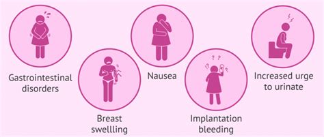 Embryo Implantation: Process and Common Symptoms