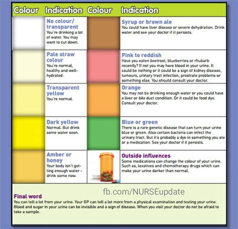 see what the colour of your urine says about your health why is my ...