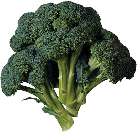 Broccoli | Description, Nutrition, & Facts | Britannica