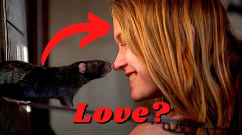 The 7 Hidden Signs That Your Rat Loves & Trusts You - YouTube