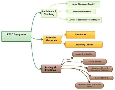 PTSD Signs and Symptoms Flow Chart | The Battle Buddy Foundation