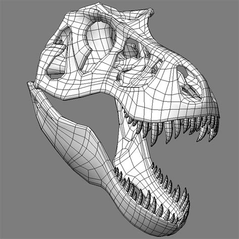 3d tyrannosaurus rex skeleton t-rex model