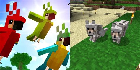 Minecraft: How To Tame Every Animal You Can