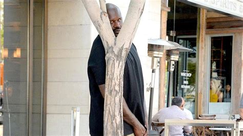 Shaq Hiding Meme: Why Was 7’1 Shaquille O’Neal Hiding Behind A Tree? - The SportsRush