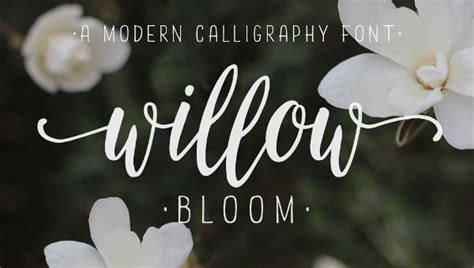 18+ Calligraphy Fonts - Free OTF, TTF Format Download