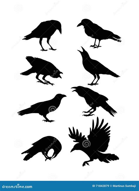 Black Crow Silhouettes stock vector. Illustration of sticks - 71842879