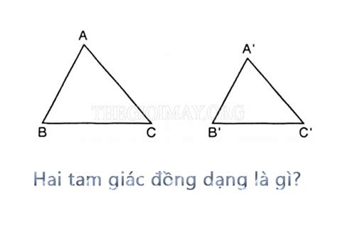 Tam giác đồng dạng | Khái niệm, tính chất, cách chứng minh