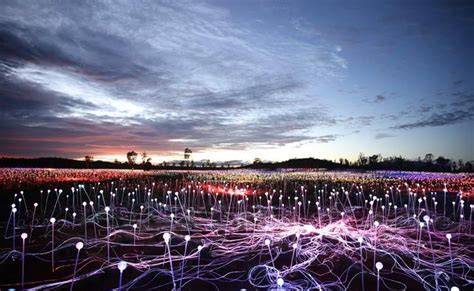 Guide to Uluru's 'Field of Light' installation by Bruce Munro | Jetstar