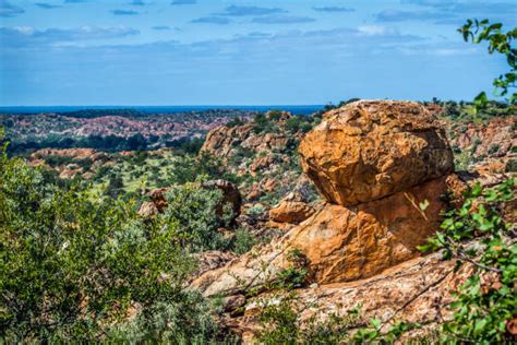 Mapungubwe National Park Stock Photos, Pictures & Royalty-Free Images - iStock