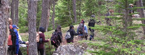 Adventure Hike Excursion | Alaska Shore Tours