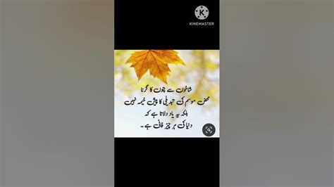 Shakhon se patte || urdu quotes || PAKEEZAH URDU VOICE - YouTube