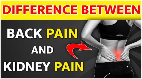 What is The Difference Between Back Pain And Kidney Pain | Kidney expert - YouTube