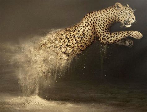 If It's Hip, It's Here (Archives): Stunning Print Advertising for the World Wildlife Fund by ...