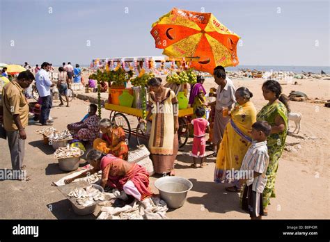 India Tamil Nadu Chennai beach fish market small roadside stall selling freshly caught seafood ...