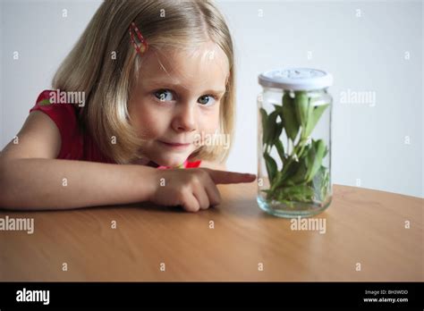 Young girl pointing to a jar filled with leaves and insects, smiling Stock Photo - Alamy