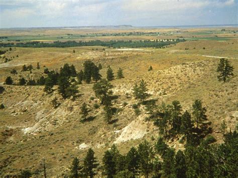 Entisols | Soil & Water Systems | University of Idaho