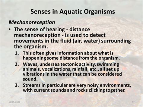Senses in Aquatic Organisms Aquatic Biology Biology 450 Dave McShaffrey ...
