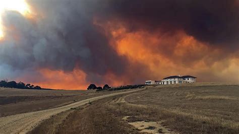 NSW bushfires: Weather change could put Yamba at risk | Daily Telegraph