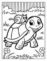 120  Coloriages De tortues Pour Enfants Et Adultes PDF Gratuits à sketch template