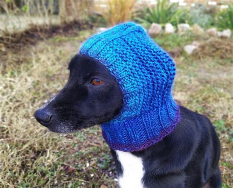 19 Knit Dog Hat Patterns - Knitting News