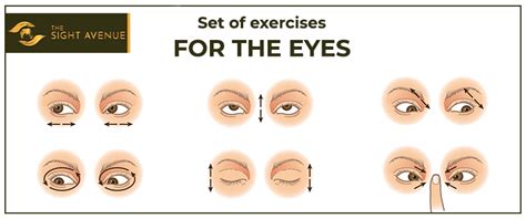 6 Helpful Exercises to Enhance Your Eye Muscles - The Sight Avenue