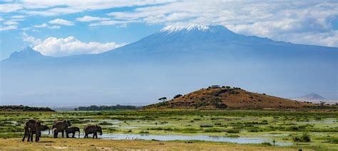 What to Expect in Amboseli National Park Kenya | Kenya Safaris