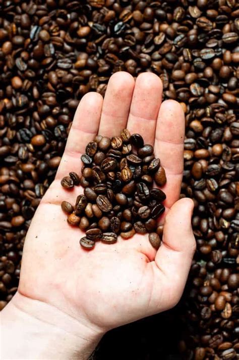 How To Buy And Roast Coffee Beans at Home - Tasting With Tina