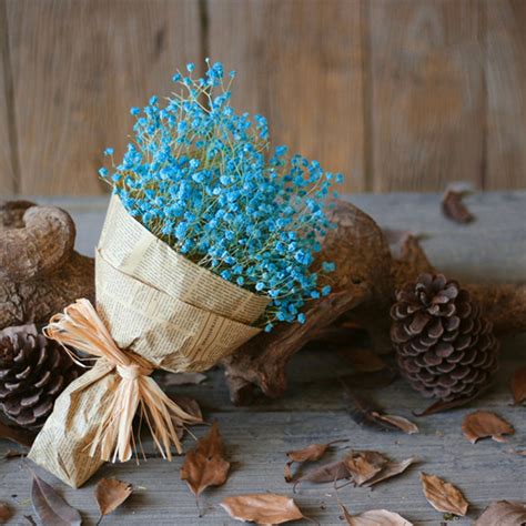 Natural Dried Flower Home Decor Natural Dried Flower Full Stars ...