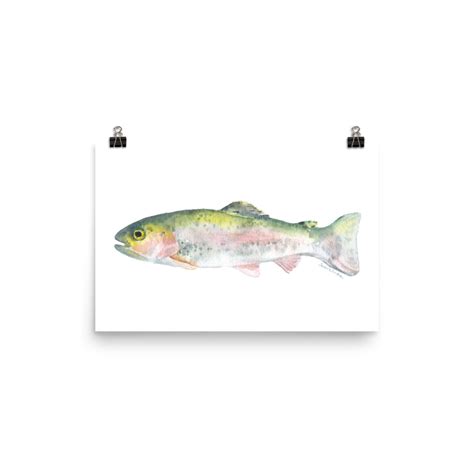 Rainbow Trout Watercolor – Susan Windsor