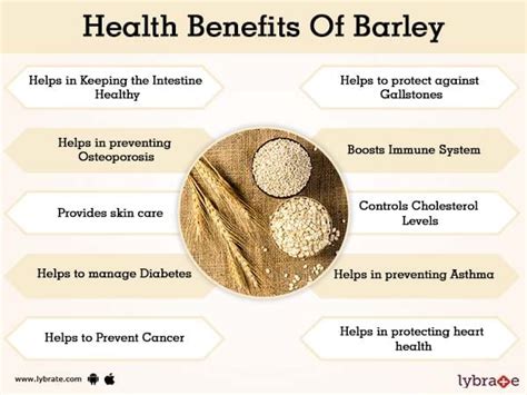 Barley Nutrition Facts And Benefits - Nutrition Pics