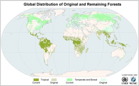 Expedition Earth: Deforestation